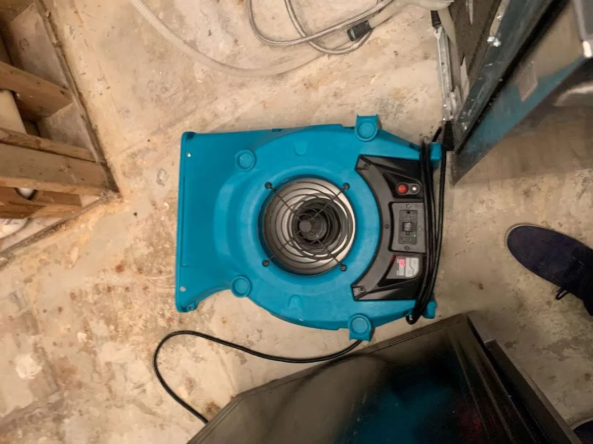 Air mover drying equipment for Mold Remediation & Removal in Glenn Dale